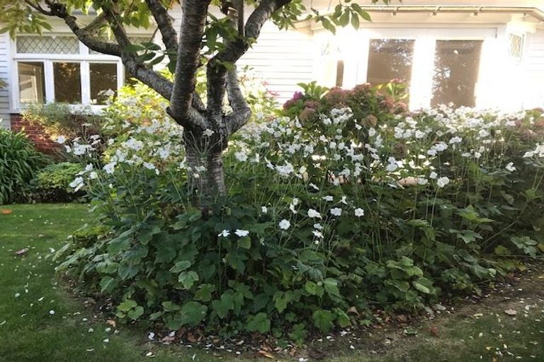 Photo of property in 203 Prospect Road, Hastings, 4122