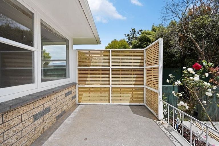 Photo of property in 19 Kensington Place, Fairfield, Hamilton, 3214