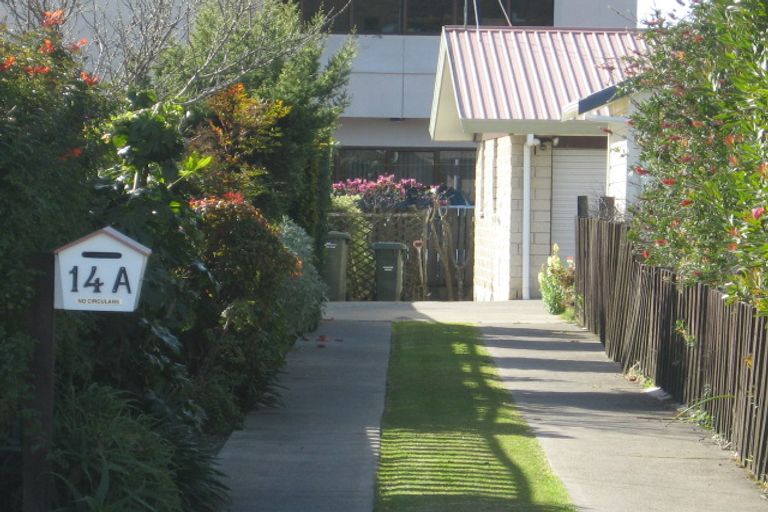 Photo of property in 14a Louvain Street, Whakatane, 3120