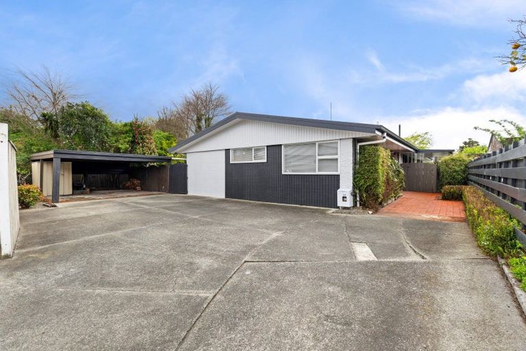 Photo of property in 50 Windsor Street, Terrace End, Palmerston North, 4410