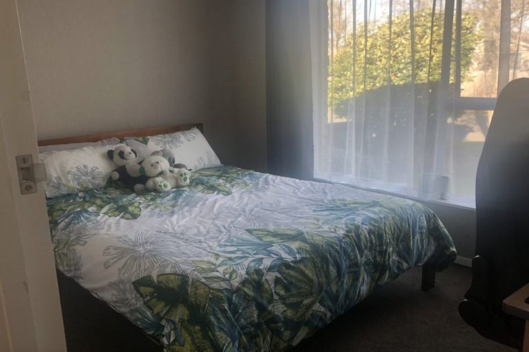 Photo of property in 81 Lowry Avenue, Redwood, Christchurch, 8051