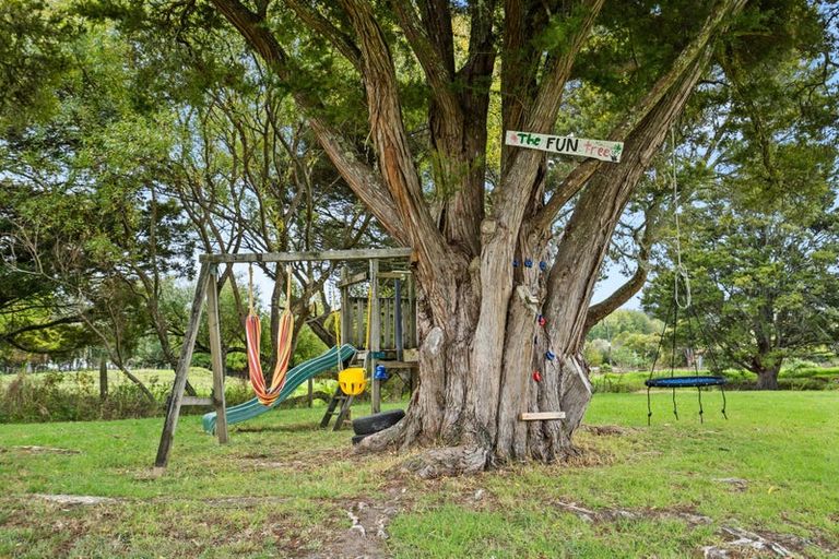 Photo of property in 6 Tavinor Road, Otaika, Whangarei, 0170
