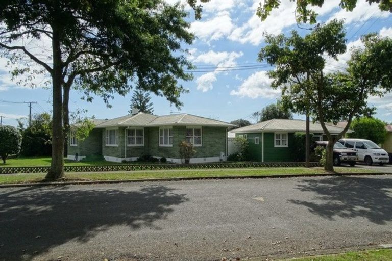 Photo of property in 18 Matai Street, Levin, 5510