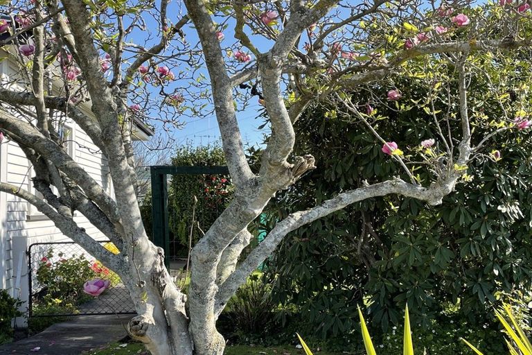 Photo of property in 2 Campbell Street, Wairoa, 4108