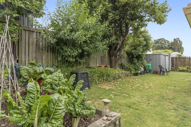 Photo of property in 283b Maungatapu Road, Maungatapu, Tauranga, 3112