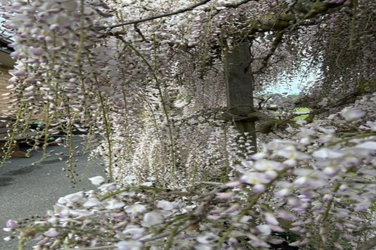 Photo of property in 20 Fairfield Way, Rolleston, 7614