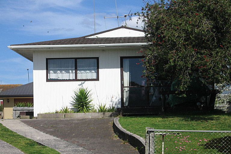 Photo of property in 56b Campbell Road, Mount Maunganui, 3116