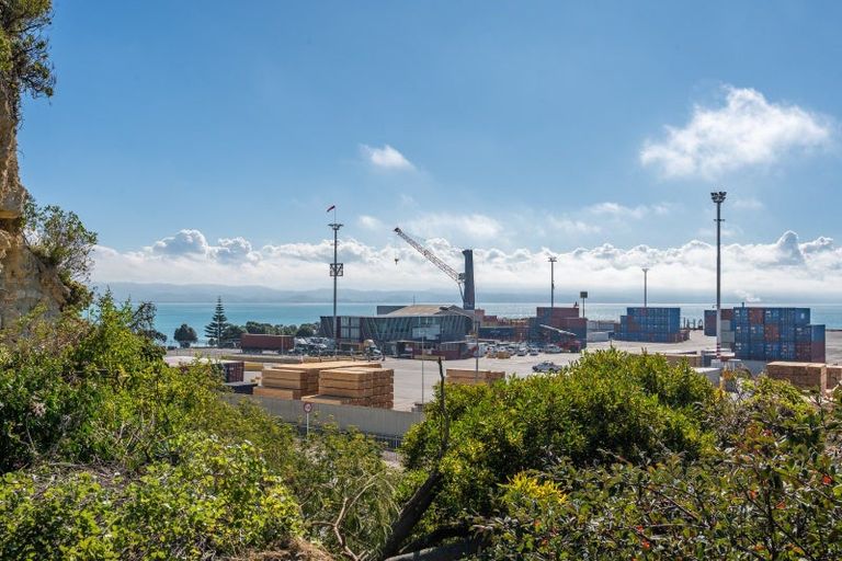 Photo of property in 3 Hornsey Road, Bluff Hill, Napier, 4110