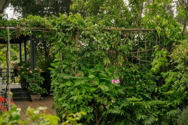 Photo of property in 99 Inniscort Street, Cromwell, 9310