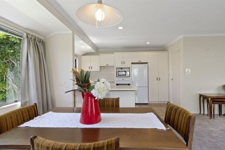 Photo of property in 169c Maungatapu Road, Maungatapu, Tauranga, 3112