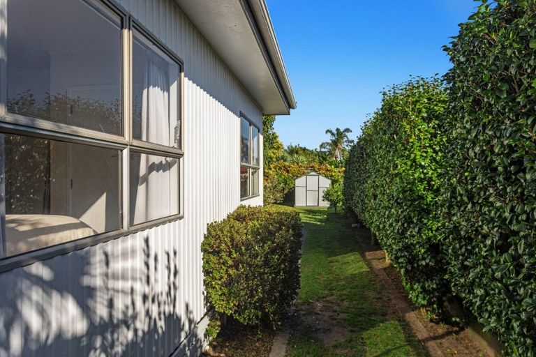 Photo of property in 38a1 Victoria Avenue, Whakatane, 3120
