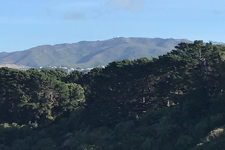 Photo of property in 3 Upoko Road, Hataitai, Wellington, 6021