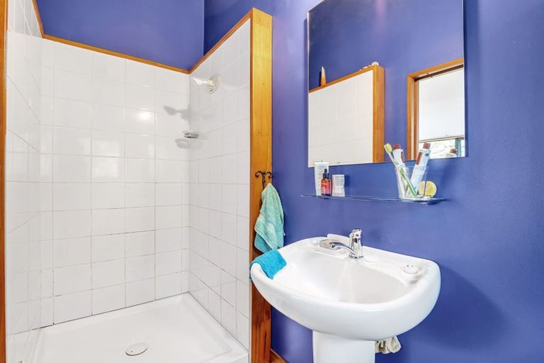 Photo of property in 117 Seaview Road, Piha, New Lynn, 0772