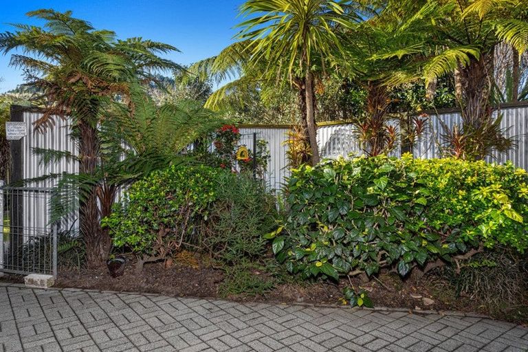 Photo of property in 130a Douglas Street, Whakatane, 3120