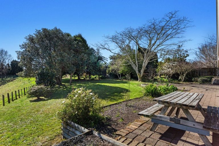 Photo of property in 306 Tablelands Road, Tirohanga, Opotiki, 3197