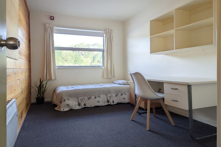 Photo of property in Drummond Street Flats, 15/19u Drummond Street, Mount Cook, Wellington, 6021