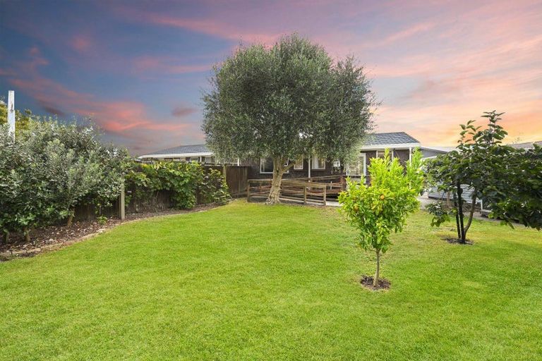 Photo of property in 16b Bradley Place, Nawton, Hamilton, 3200