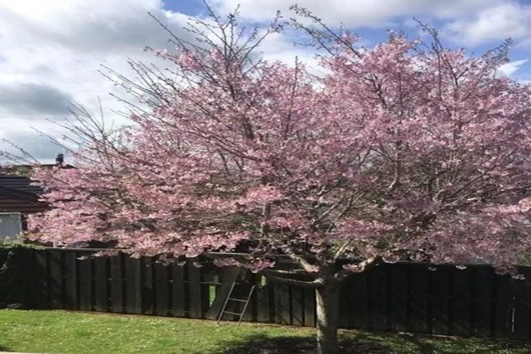 Photo of property in 194 Cook Street, Howick, Auckland, 2014