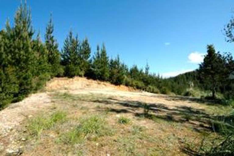 Photo of property in 31 Pinehurst Drive, Pauanui, Hikuai, 3579