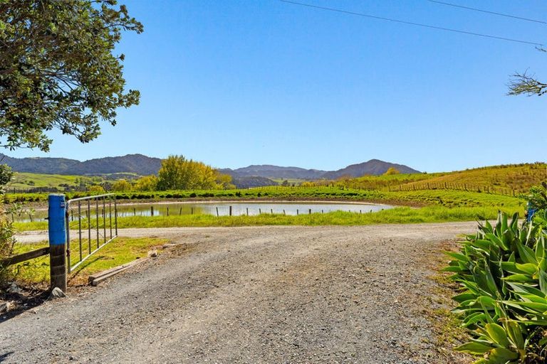 Photo of property in 301 Ranganui Road, Kaiwaka, 0573