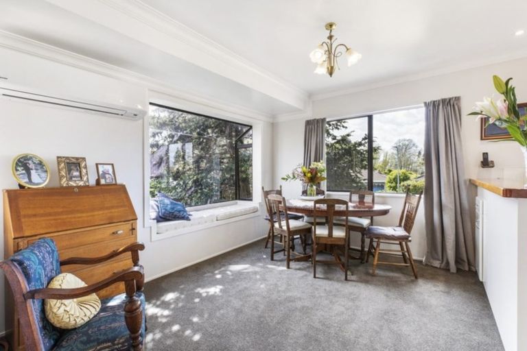 Photo of property in 19 Norrie Street, Te Puke, 3119