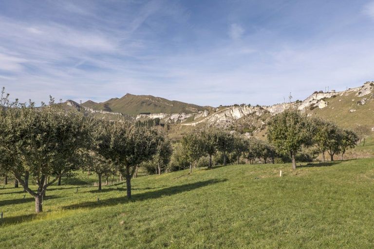 Photo of property in 101 Laidmore Road, Broomfield, 7482