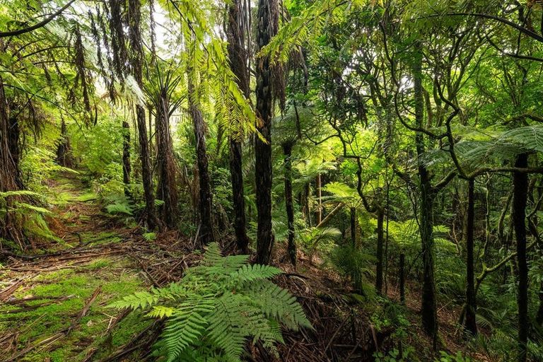 Photo of property in 360a Busby Road, Tahawai, Katikati, 3170