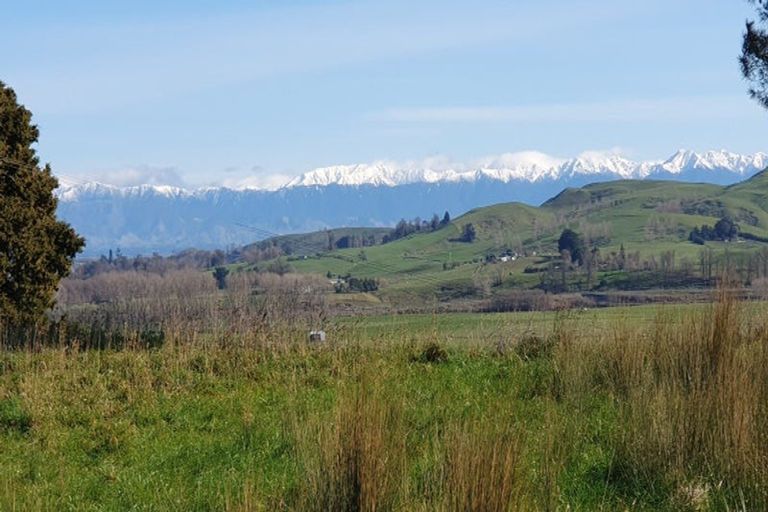 Photo of property in 55 Mason Drive, Waipukurau, 4285