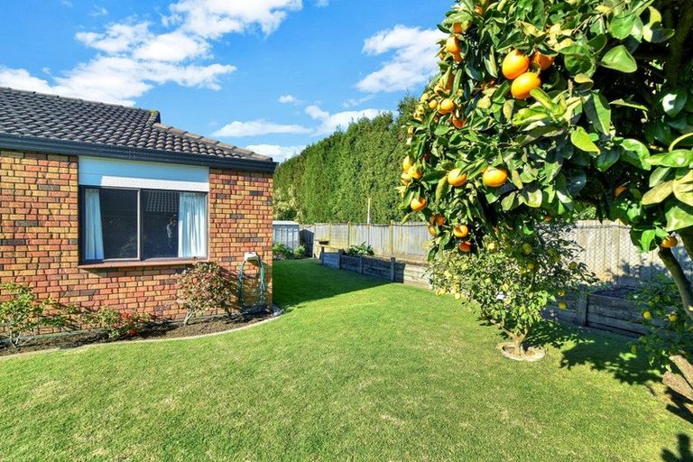 Photo of property in 34 Bayfair Drive, Mount Maunganui, 3116