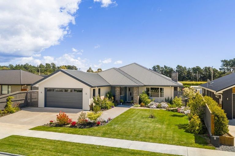 Photo of property in 47 Catalina Crescent, Burleigh, Blenheim, 7201