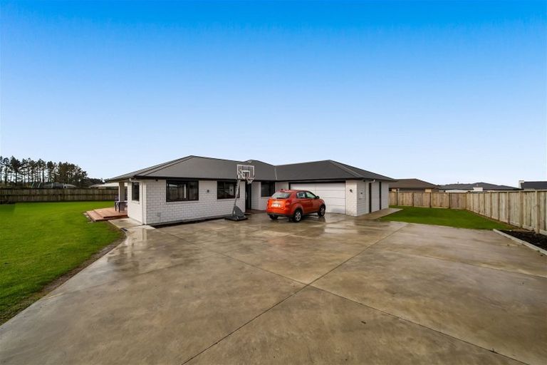 Photo of property in 12 Biron Place, Stratford, 4332