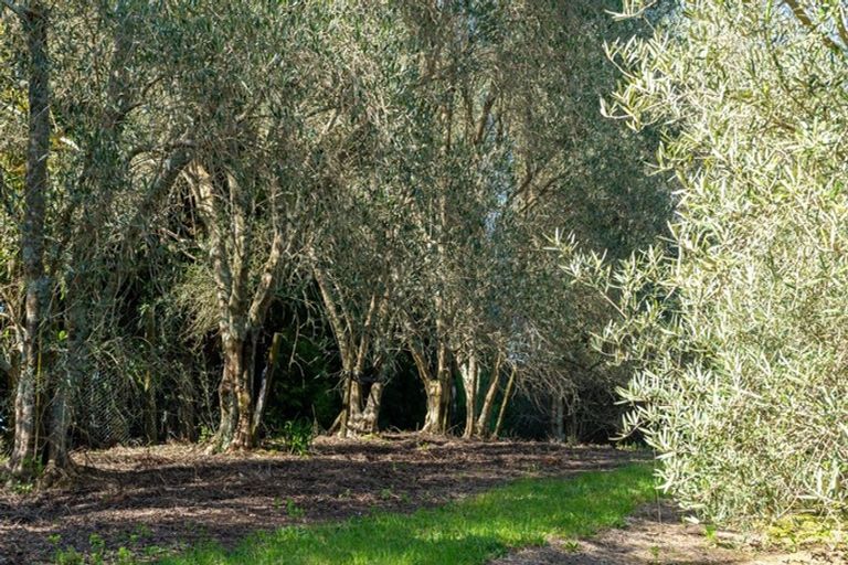 Photo of property in 12 Walker Road West, Aongatete, Katikati, 3178