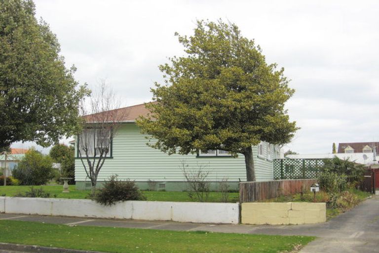 Photo of property in 17 Duke Street, Levin, 5510