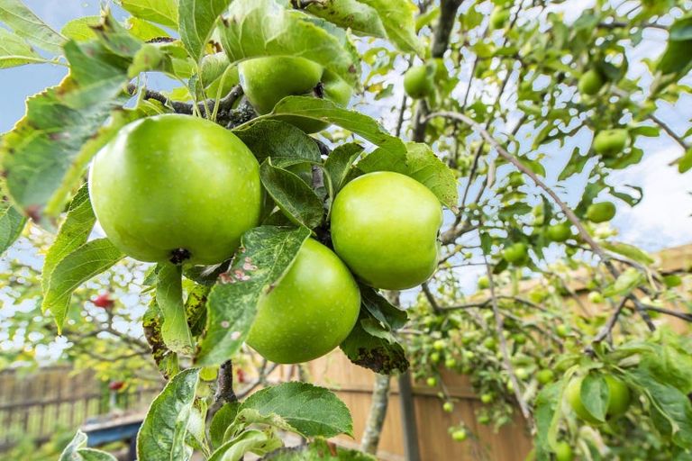 Photo of property in 12 Brookside Road, Rolleston, 7614