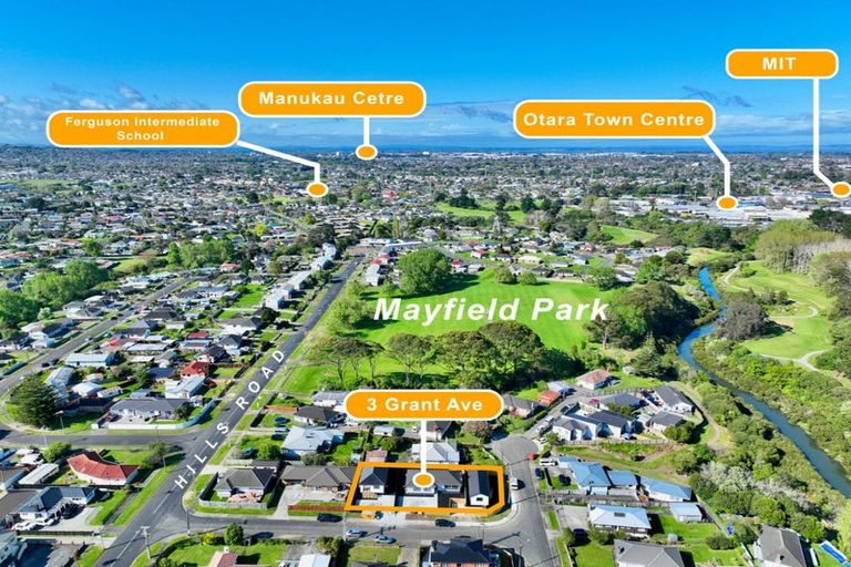 Photo of property in 4 Grant Avenue, Otara, Auckland, 2023