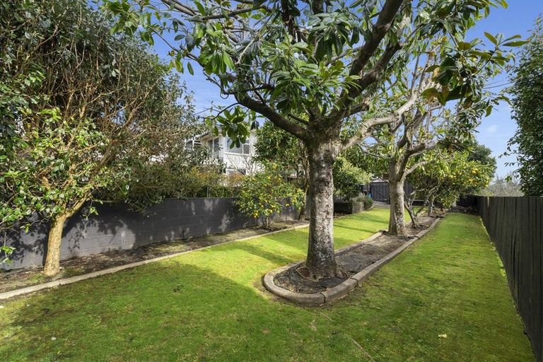 Photo of property in 37 Brookfield Terrace, Brookfield, Tauranga, 3110