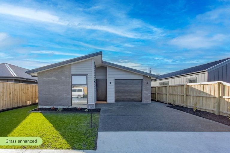 Photo of property in 43 Henshaw Street, Woodend, 7610