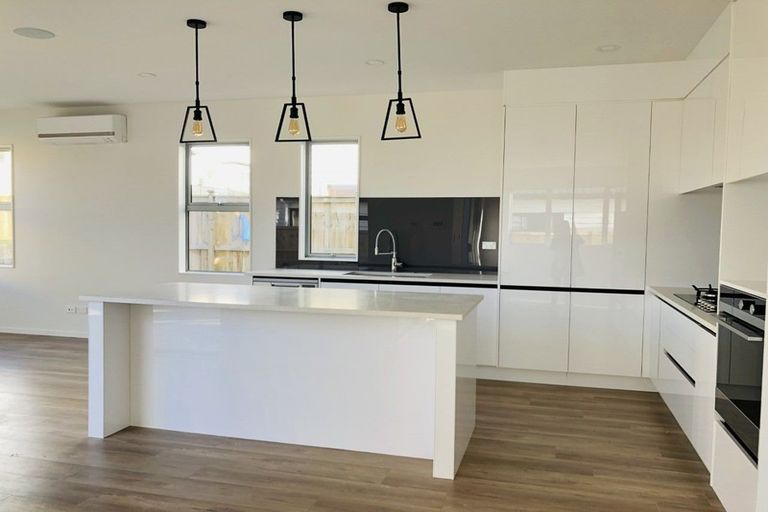 Photo of property in 53 Myland Drive, Hobsonville, Auckland, 0616