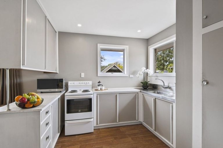 Photo of property in 80 Bordesley Street, Phillipstown, Christchurch, 8011