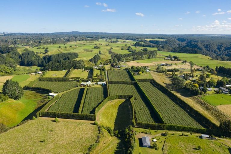 Photo of property in 585d Mclaren Falls Road, Omanawa, Tauranga, 3171