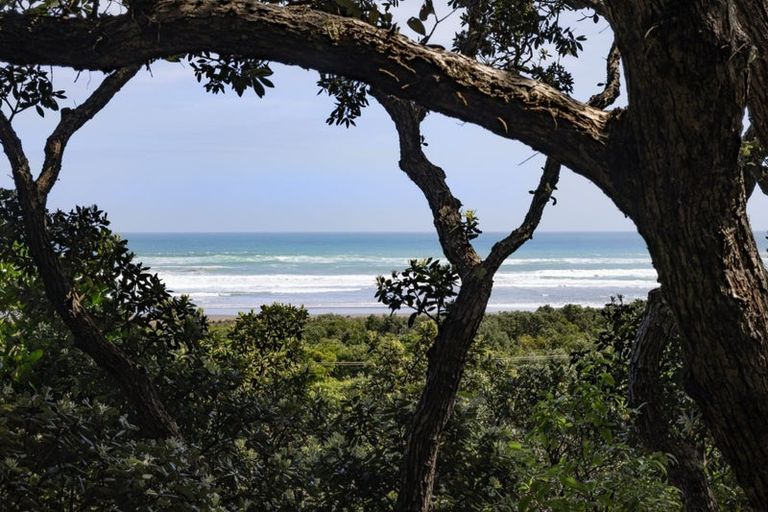 Photo of property in 59 North Piha Road, Piha, 0772