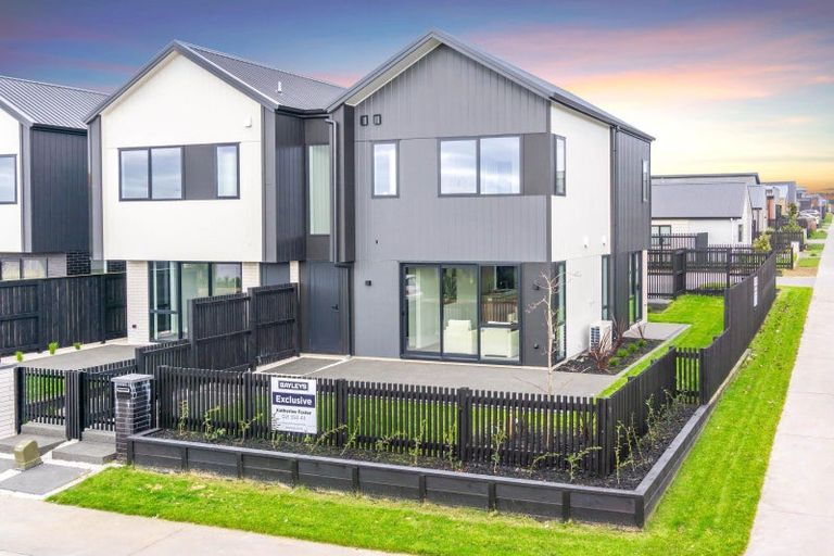 Photo of property in 44 Musselwhite Terrace, Chartwell, 3210