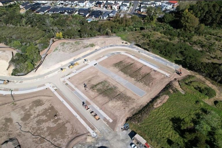 Photo of property in 69 Waterlily Street, Hobsonville, 0616