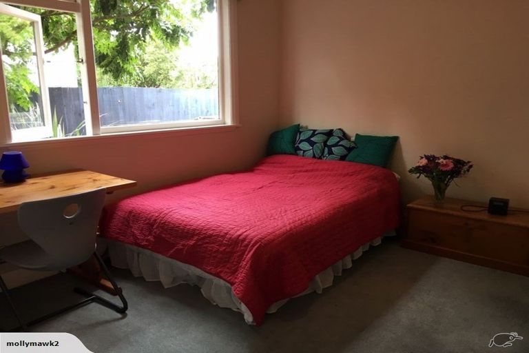 Photo of property in 51 Ngaio Street, Saint Martins, Christchurch, 8022