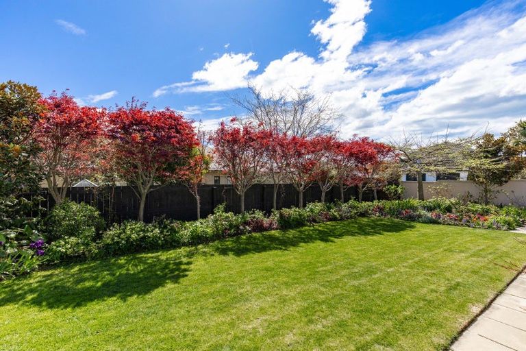 Photo of property in 33 Elmwood Avenue, Witherlea, Blenheim, 7201