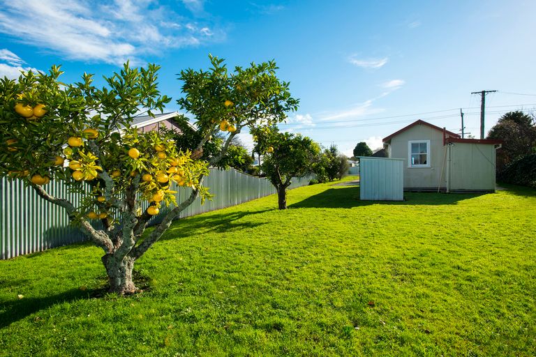Photo of property in 19 Poplar Street, Mangapapa, Gisborne, 4010