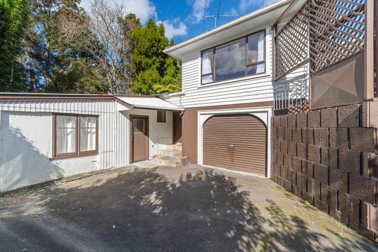 Photo of property in 21 Nikau Street, New Lynn, Auckland, 0600