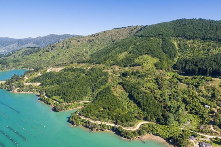 Photo of property in 4954 Kenepuru Road, Ohauparuparu Bay, Marlborough Sounds, 7282