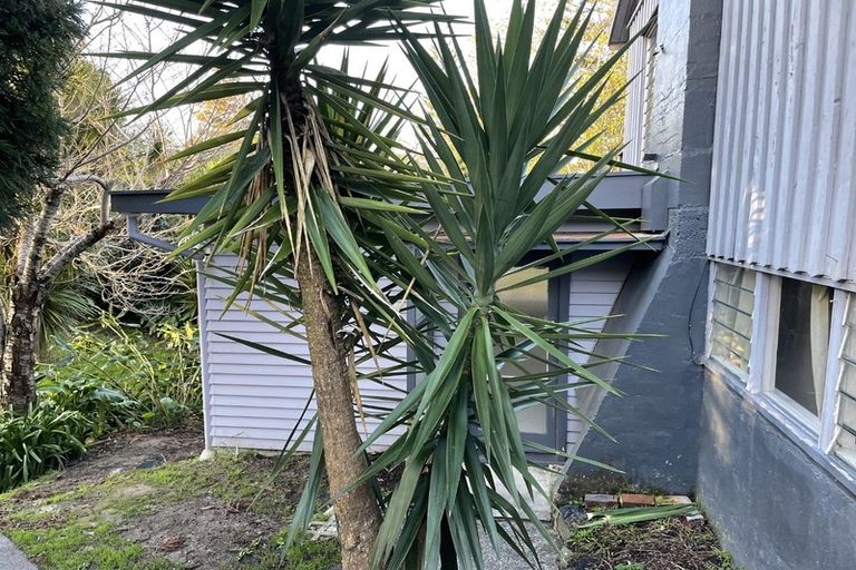 Photo of property in 19 Golf Road, New Lynn, Auckland, 0600