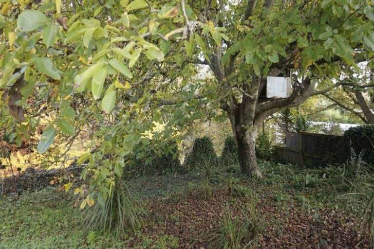 Photo of property in 50 Overdale Street, Putaruru, 3411